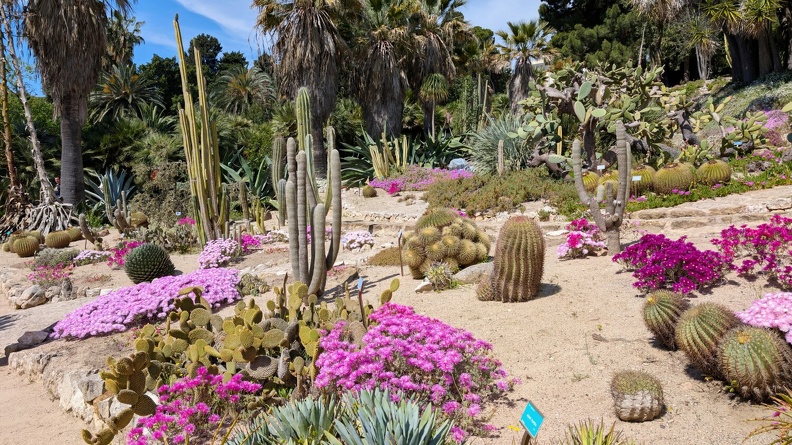 Jardin botanique - Cagliari