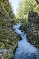 gorges du vintgar-51