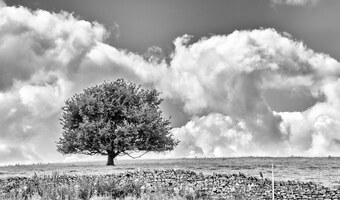 Parc du Yorkshire Dales