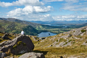 healy-pass-6