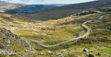 healy-pass-4