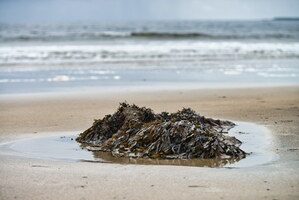 plage-ba-fhionntra-23
