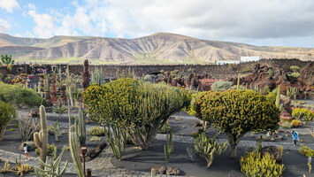 Jardin de cactus