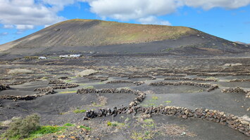Vignoble de Lanzarote