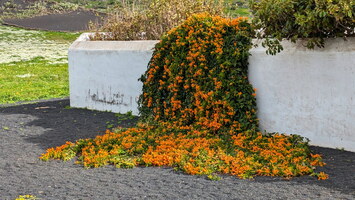 Lanzarote