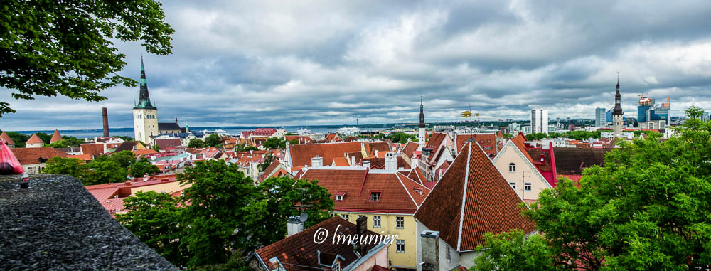 tallinn-10.jpg
