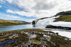 Aurelandsfjellet 