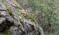Canyon du Gorropu 