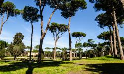 Rome 