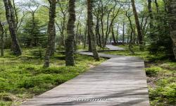 Parc National De Slowinski 