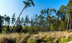 Parc National De Slowinski 