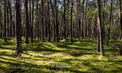 Parc National De Slowinski 