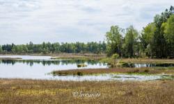 Parc National De Slowinski 