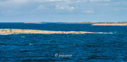 Ferry pour Vardo 