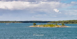 Ferry pour Vardo 