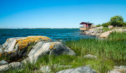 Iles de Brando 