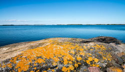 Iles de Brando 