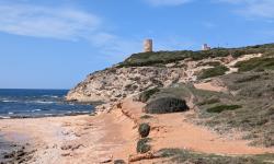 Capo Mannu 