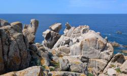 Capo Testa 