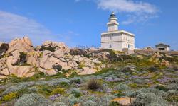 Capo Testa 