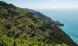 Cinque Terra 