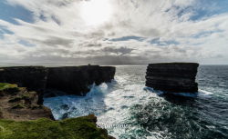 Les falaises de Downpatrick Head 