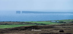 Les falaises de Downpatrick Head 