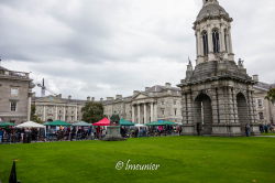 Dublin 