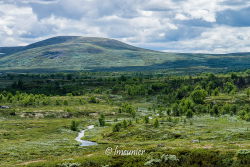 Jotunheimvegen 