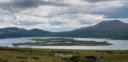 Jotunheimvegen 
