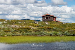 Jotunheimvegen 