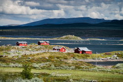 Jotunheimvegen 