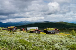 Jotunheimvegen 