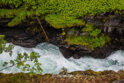 Cascades 