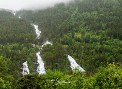 Cascades 