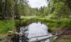 Parc d'Oulanka 