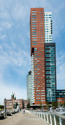Rotterdam 