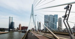 Rotterdam 