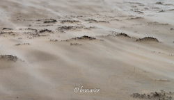 La plage de Ba Fhionntra 