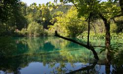 Lac de Plitvice 