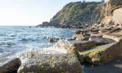 Ile de Procida 