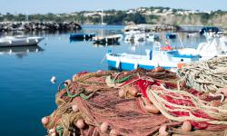 Ile de Procida 