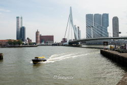 Rotterdam 