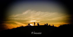 Grenen 