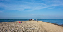 Grenen 