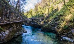Gorges de Vintgar 