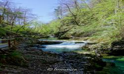 Gorges de Vintgar 