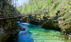 Gorges de Vintgar 