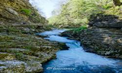 Gorges de Vintgar 