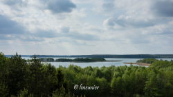 Lac de Wigry 